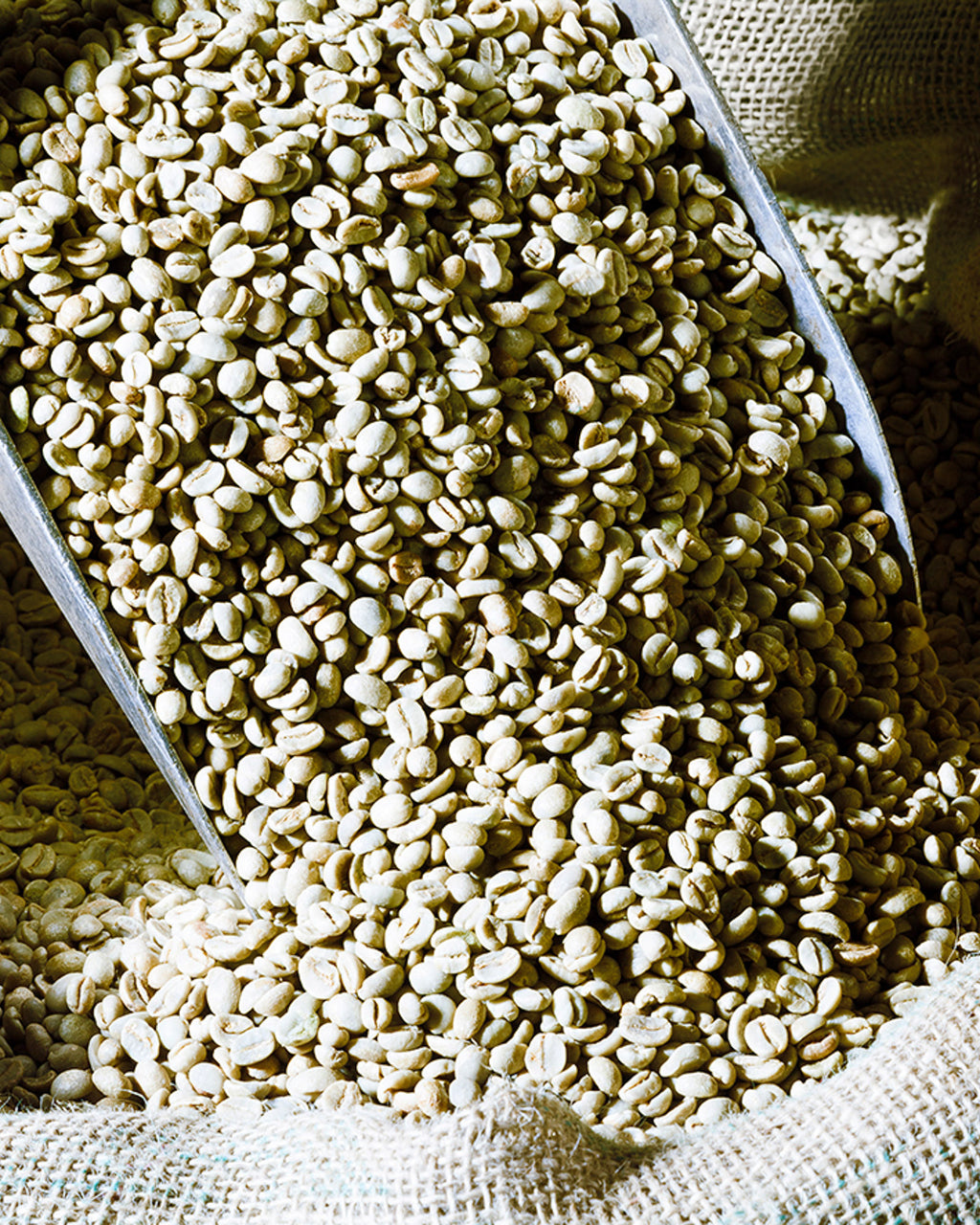 Caffè Ottolina DECAFFEINATO