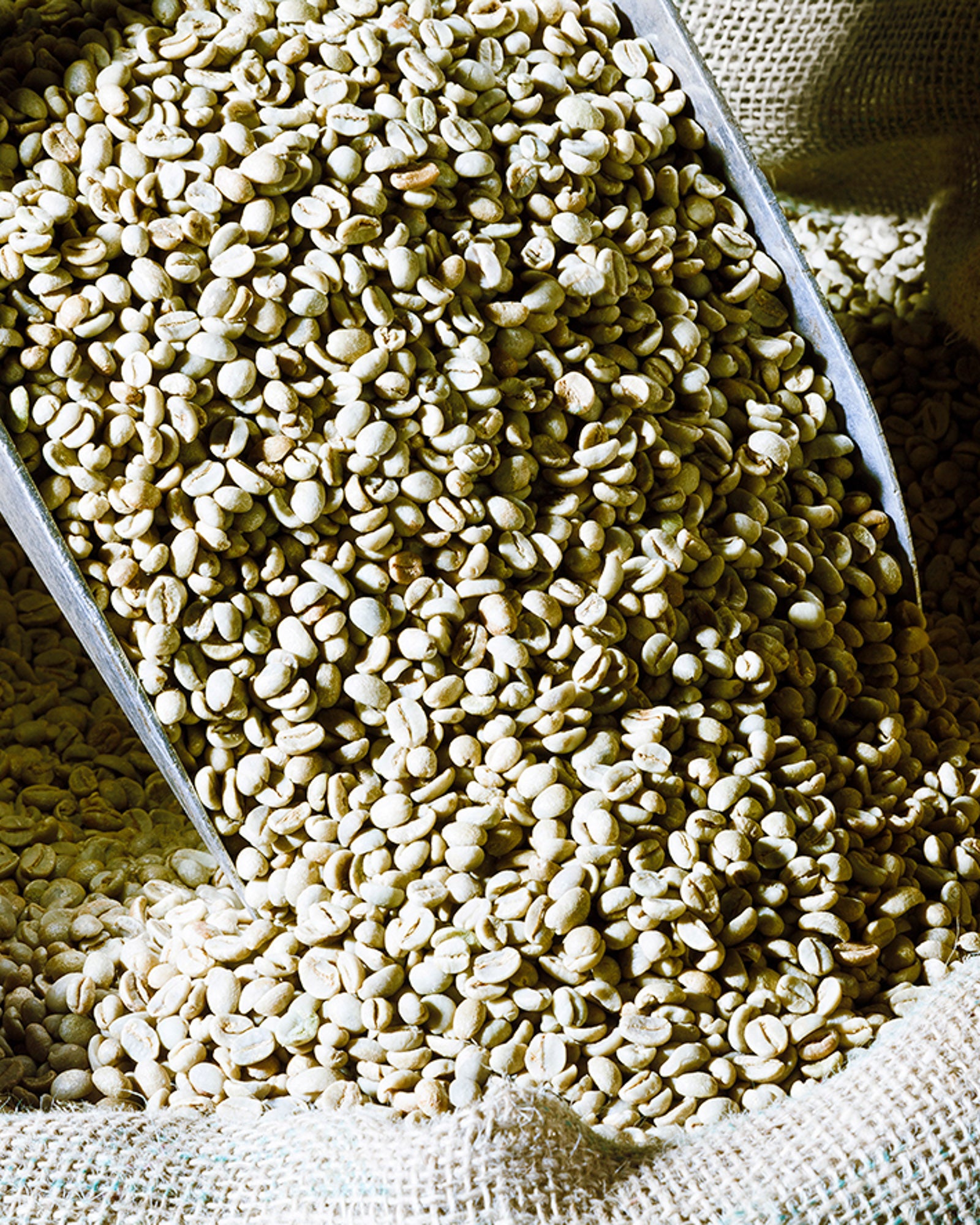 Caffè Ottolina DECAFFEINATO