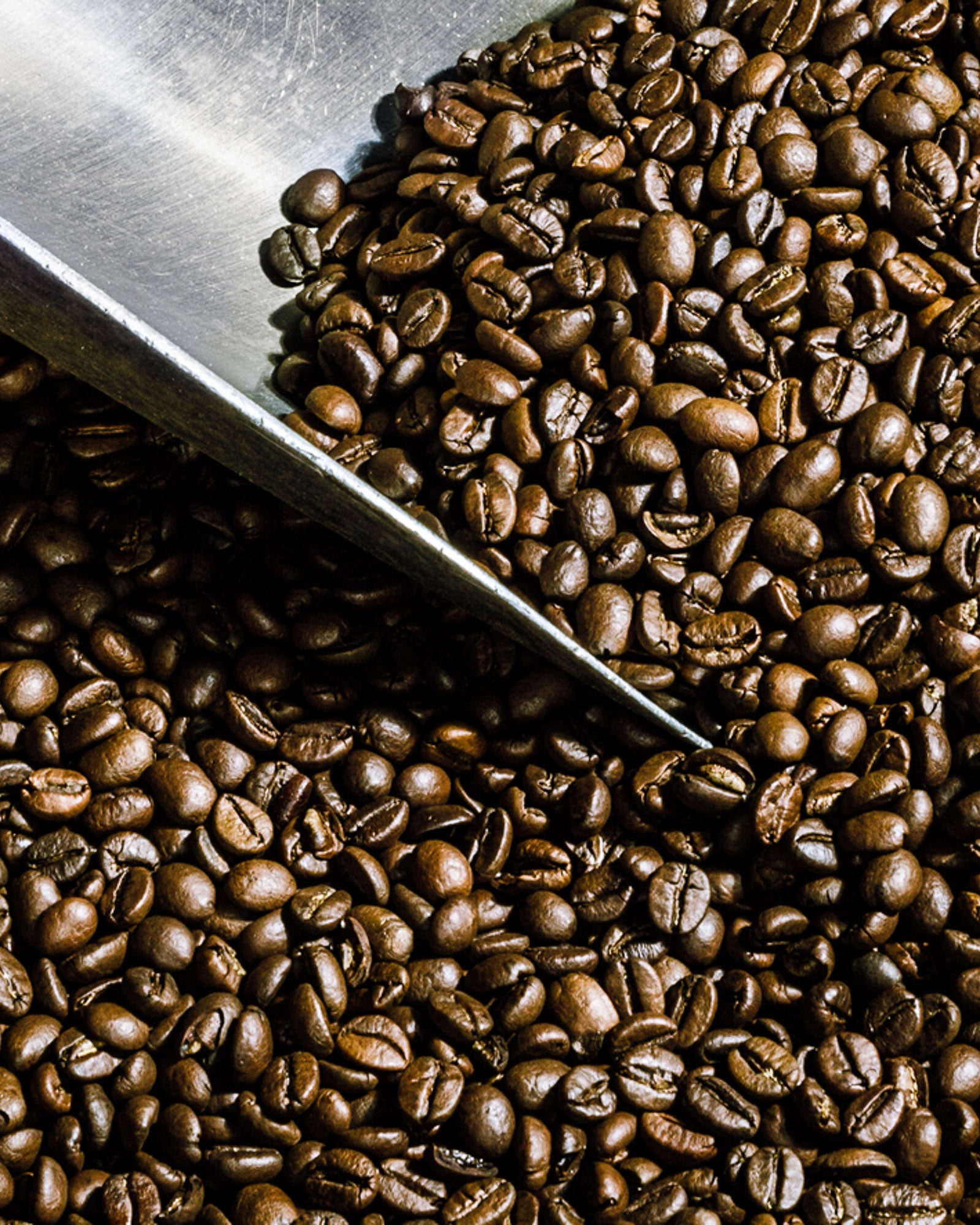 Caffè Ottolina MARACAIBO