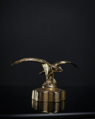 Kit Gold Eagle
